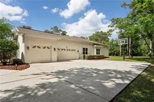 10801 Alico Pass, New Port Richey, FL 34655 - Photo 61