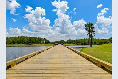1249 Winding Willow Drive, Trinity, FL 34655 - Photo 27