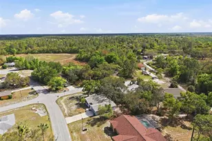 7275 Edinburgh Way, Weeki Wachee, FL 34613 - Photo 37