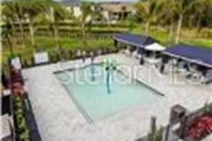 32588 Tree of Life Ave, Wesley Chapel, FL 33543 - Photo 47