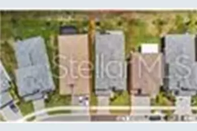 32588 Tree Of Life Avenue, Wesley Chapel, FL 33543 - Photo 3