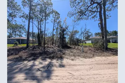 3553 W Wilhelm Street, Citrus Springs, FL 34433 - Photo 3