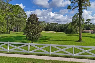 14466 Tamarind Loop, Spring Hill, FL 34609 - Photo 65