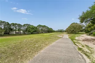 14466 Tamarind Loop, Spring Hill, FL 34609 - Photo 47