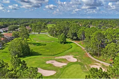 14466 Tamarind Loop, Spring Hill, FL 34609 - Photo 63