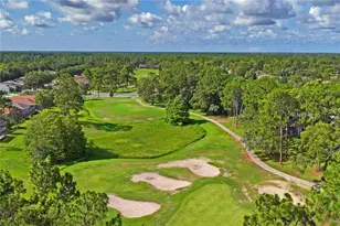 14466 Tamarind Loop, Spring Hill, FL 34609 - Photo 63