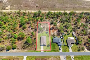 15018 Dusky Warbler Rd, Weeki Wachee, FL 34614 - Photo 57