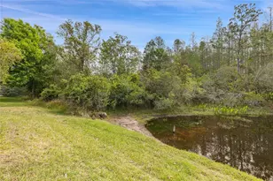 8328 Ponkan Rd, Land O Lakes, FL 34637 - Photo 7