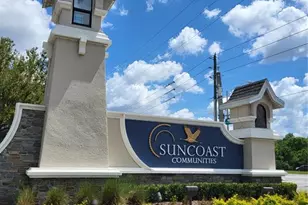 2830 Mingo Dr, Land O Lakes, FL 34638 - Photo 35