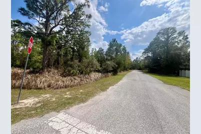 8260 Mazette Road, Weeki Wachee, FL 34613 - Photo 3