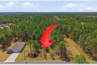 Lot 25 Thrasher Avenue, Weeki Wachee, FL 34614 - Photo 1