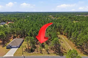 Lot 25 Thrasher Ave, Weeki Wachee, FL 34614 - Photo 1