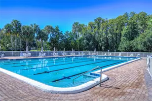 3439 Teeside Dr, New Port Richey, FL 34655 - Photo 65