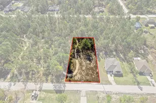 12348 Snowy Egret Ave, Weeki Wachee, FL 34614 - Photo 1