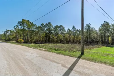 12348 Snowy Egret Avenue, Weeki Wachee, FL 34614 - Photo 11