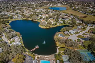 10623 Mira Vista Dr, Port Richey, FL 34668 - Photo 67