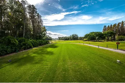 1297 Kings Way Lane, Tarpon Springs, FL 34688 - Photo 59