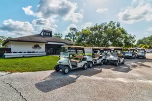 11621 Holly Ann Dr, New Port Richey, FL 34654 - Photo 59