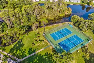 11621 Holly Ann Dr, New Port Richey, FL 34654 - Photo 55