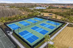 29485 Velletri Ln, Wesley Chapel, FL 33543 - Photo 27
