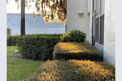 102 Palmetto Court #2, Oldsmar, FL 34677 - Photo 37