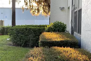 102 Palmetto Ct, Oldsmar, FL 34677 - Photo 37