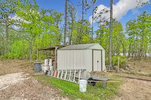 15062 Mt Ivy Rd, Weeki Wachee, FL 34614 - Photo 59