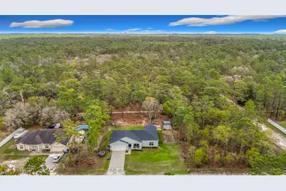 15062 Mount Ivy Road, Weeki Wachee, FL 34614 - Photo 13
