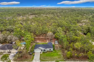 15062 Mt Ivy Rd, Weeki Wachee, FL 34614 - Photo 13