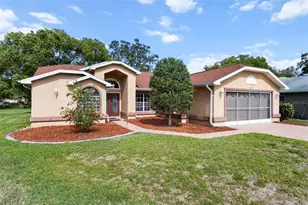 3047 Rippling Brook Way, Spring Hill, FL 34606 - Photo 1