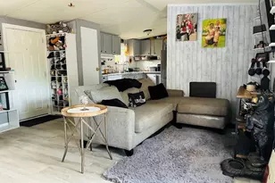 7161 Schering St, Weeki Wachee, FL 34613 - Photo 5