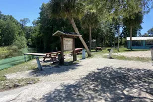 7161 Schering St, Weeki Wachee, FL 34613 - Photo 43