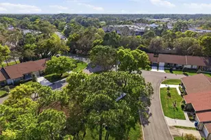 6575 Brambleleaf Dr, Spring Hill, FL 34606 - Photo 35