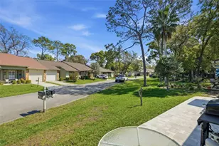 6575 Brambleleaf Dr, Spring Hill, FL 34606 - Photo 31