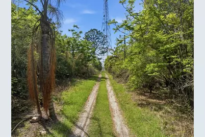 4267 Neff Lake Road, Brooksville, FL 34601 - Photo 3