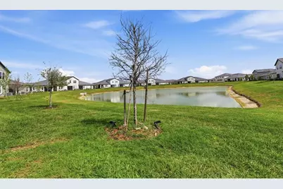 10799 Gable Dig Loop, San Antonio, FL 33576 - Photo 17