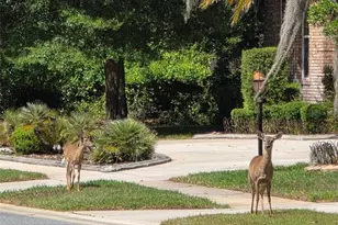 6151 New Osprey Point, Weeki Wachee, FL 34607 - Photo 57