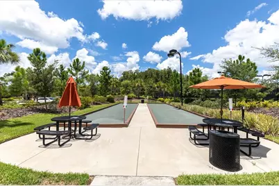 3312 Francoa Drive, Odessa, FL 33556 - Photo 47