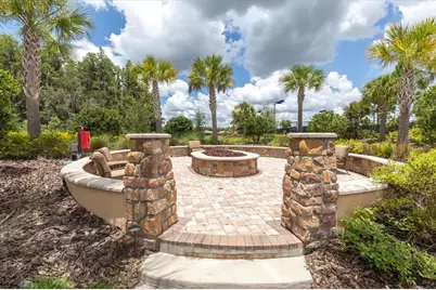 3312 Francoa Drive, Odessa, FL 33556 - Photo 43