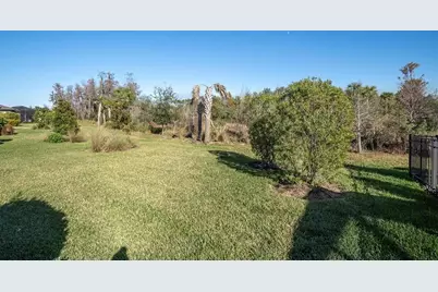 3312 Francoa Drive, Odessa, FL 33556 - Photo 27
