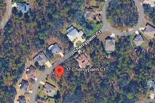 17 Cherrypalm Ct, Homosassa, FL 34446 - Photo 1