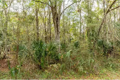 Lake Lindsey Tract 2 Road, Brooksville, FL 34601 - Photo 7