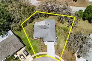 8711 Gold Pine Dr, Port Richey, FL 34668 - Photo 3