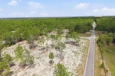 14235 Carolina Dove Road, Weeki Wachee, FL 34614 - Photo 3