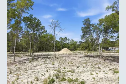 14235 Carolina Dove Road, Weeki Wachee, FL 34614 - Photo 9