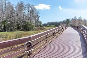 3540 Durrance St, New Port Richey, FL 34655 - Photo 57