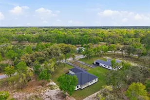 34121 August Ave, Webster, FL 33597 - Photo 65