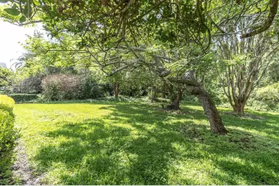 1806 Kinsmere Drive, Trinity, FL 34655 - Photo 39