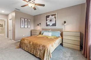 3012 Pink Peacock Ln, Odessa, FL 33556 - Photo 13