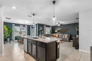 3012 Pink Peacock Ln, Odessa, FL 33556 - Photo 7